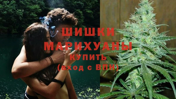 СК Надым