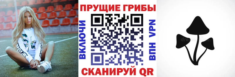 дарнет шоп  OMG ССЫЛКА  Псилоцибиновые грибы Psilocybe  Онега 